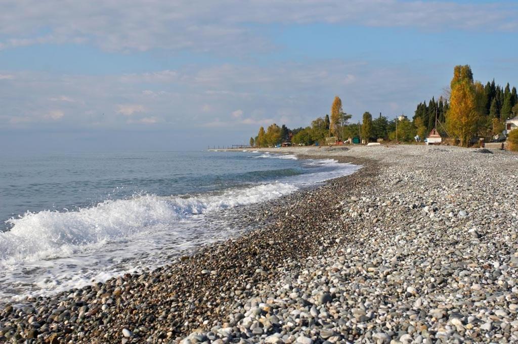 Бархат Zandrypsch Exterior foto